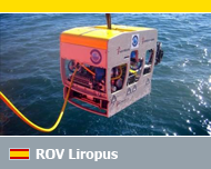 ROV Liropus