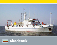 Akademic