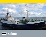 Salme